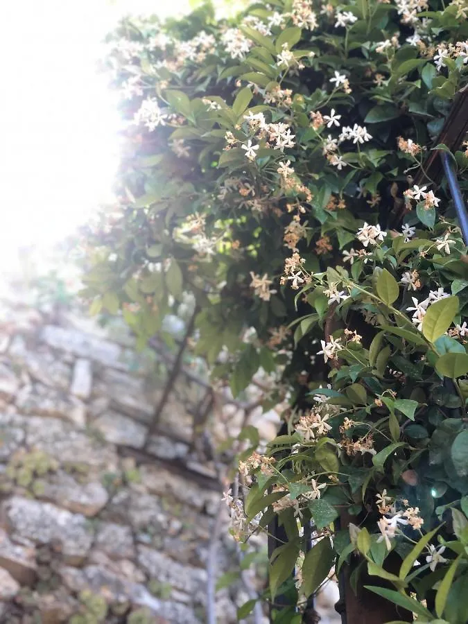 Holiday home Paradis Perche En Provence Menerbes